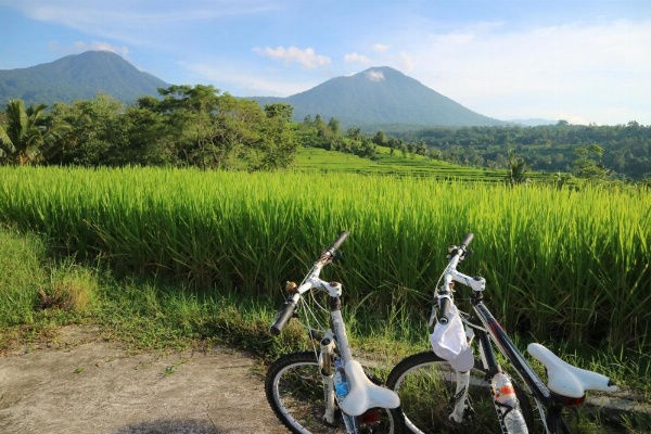 Sang Giri - Mountain Glamping Camp image 15