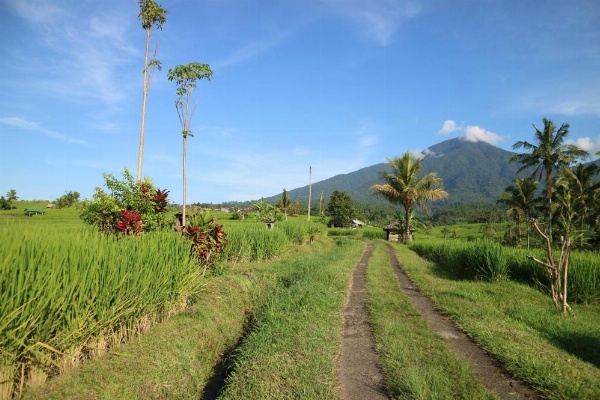 Sang Giri - Mountain Glamping Camp image 16