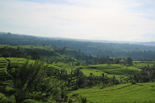 Sang Giri - Mountain Glamping Camp image 18