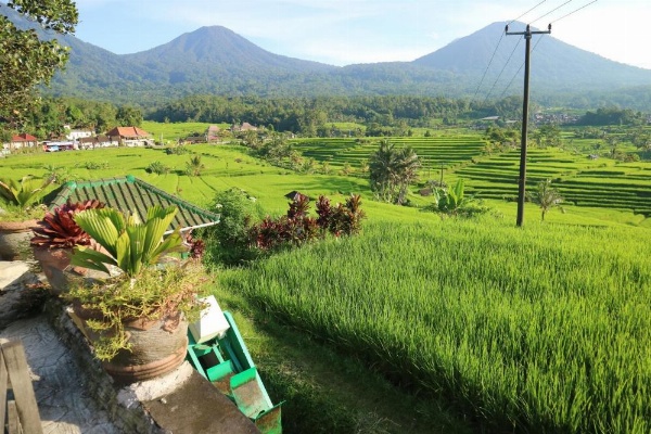 Sang Giri - Mountain Glamping Camp image 19